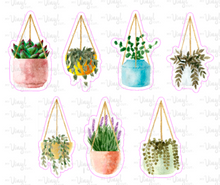 Load image into Gallery viewer, Sticker Sheet Hanging SUCCULENTS 5 x 7 inch Sheet