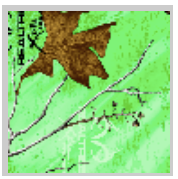 Load image into Gallery viewer, Stahls&#39; RealTree Colors Patterns Heat Transfer Vinyl HTV 12 x 18&quot; sheets