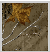 Load image into Gallery viewer, Stahls&#39; RealTree Colors Patterns Heat Transfer Vinyl HTV 12 x 18&quot; sheets