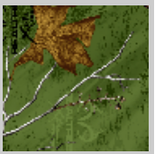 Load image into Gallery viewer, Stahls&#39; RealTree Colors Patterns Heat Transfer Vinyl HTV 12 x 18&quot; sheets