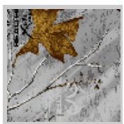 Load image into Gallery viewer, Stahls&#39; RealTree Colors Patterns Heat Transfer Vinyl HTV 12 x 18&quot; sheets