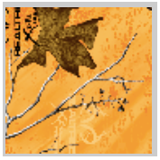 Load image into Gallery viewer, Stahls&#39; RealTree Colors Patterns Heat Transfer Vinyl HTV 12 x 18&quot; sheets