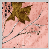 Load image into Gallery viewer, Stahls&#39; RealTree Colors Patterns Heat Transfer Vinyl HTV 12 x 18&quot; sheets