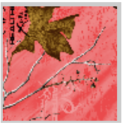Load image into Gallery viewer, Stahls&#39; RealTree Colors Patterns Heat Transfer Vinyl HTV 12 x 18&quot; sheets