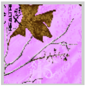 Load image into Gallery viewer, Stahls&#39; RealTree Colors Patterns Heat Transfer Vinyl HTV 12 x 18&quot; sheets