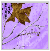 Load image into Gallery viewer, Stahls&#39; RealTree Colors Patterns Heat Transfer Vinyl HTV 12 x 18&quot; sheets