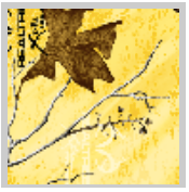 Load image into Gallery viewer, Stahls&#39; RealTree Colors Patterns Heat Transfer Vinyl HTV 12 x 18&quot; sheets