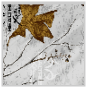 Load image into Gallery viewer, Stahls&#39; RealTree Colors Patterns Heat Transfer Vinyl HTV 12 x 18&quot; sheets