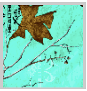 Load image into Gallery viewer, Stahls&#39; RealTree Colors Patterns Heat Transfer Vinyl HTV 12 x 18&quot; sheets