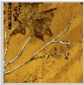 Load image into Gallery viewer, Stahls&#39; RealTree Colors Patterns Heat Transfer Vinyl HTV 12 x 18&quot; sheets