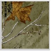 Load image into Gallery viewer, Stahls&#39; RealTree Colors Patterns Heat Transfer Vinyl HTV 12 x 18&quot; sheets