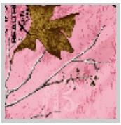 Load image into Gallery viewer, Stahls&#39; RealTree Colors Patterns Heat Transfer Vinyl HTV 12 x 18&quot; sheets