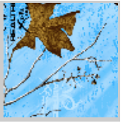 Load image into Gallery viewer, Stahls&#39; RealTree Colors Patterns Heat Transfer Vinyl HTV 12 x 18&quot; sheets