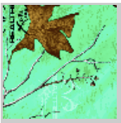 Load image into Gallery viewer, Stahls&#39; RealTree Colors Patterns Heat Transfer Vinyl HTV 12 x 18&quot; sheets