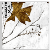Load image into Gallery viewer, Stahls&#39; RealTree Colors Patterns Heat Transfer Vinyl HTV 12 x 18&quot; sheets