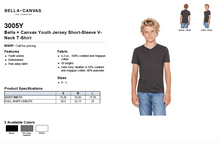 Load image into Gallery viewer, Bella Canvas Youth Jersey Short Sleeve V Neck