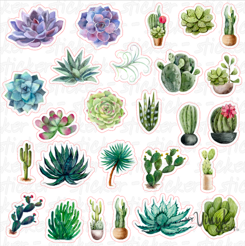 Sticker Sheet SUCCULENTS Full Sheet