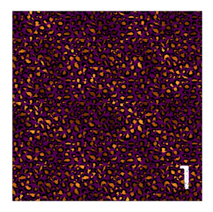 Printed HTV GOLDEN LEOPARD Patterned Vinyl 12 x 12 sheet