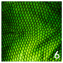 Load image into Gallery viewer, Printed Adhesive Vinyl REALISTIC ANIMAL PRINTS Patterned Vinyl 12 x 12 inch sheet