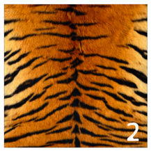 Load image into Gallery viewer, Printed Adhesive Vinyl REALISTIC ANIMAL PRINTS Patterned Vinyl 12 x 12 inch sheet