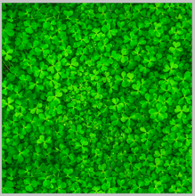 Load image into Gallery viewer, Printed HTV CLOVER Patterned Heat Transfer Vinyl 12 x 12 inch sheet