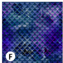 Load image into Gallery viewer, Printed Adhesive Vinyl MERMAID GLITTERS Pattern Vinyl 12 x 12 inch sheet