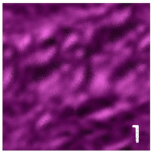 Load image into Gallery viewer, Printed Adhesive Vinyl PURPLE + GOLD Leopard Patterns